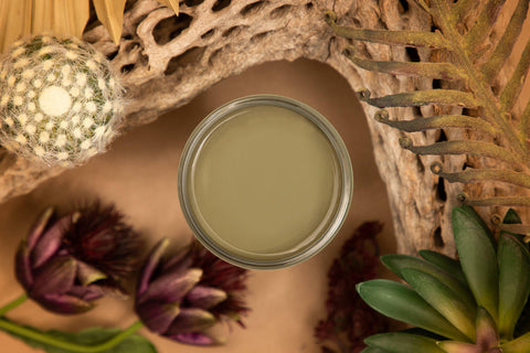 Image of Cactus Silk All-in-One Mineral Paint