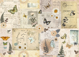 Pressed Flowers Masterboard Decoupage Paper