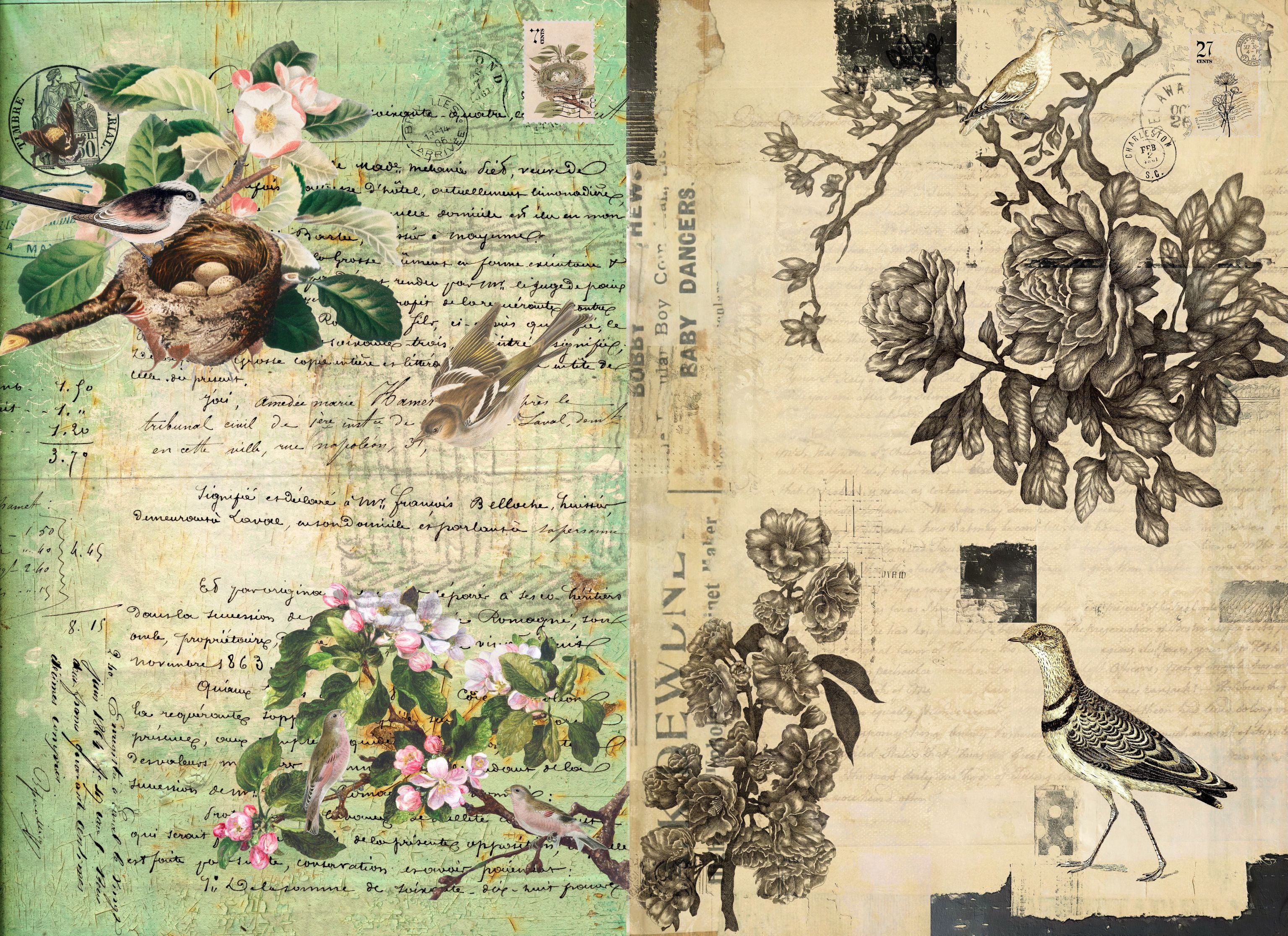 Botanical Blocks Decoupage Paper