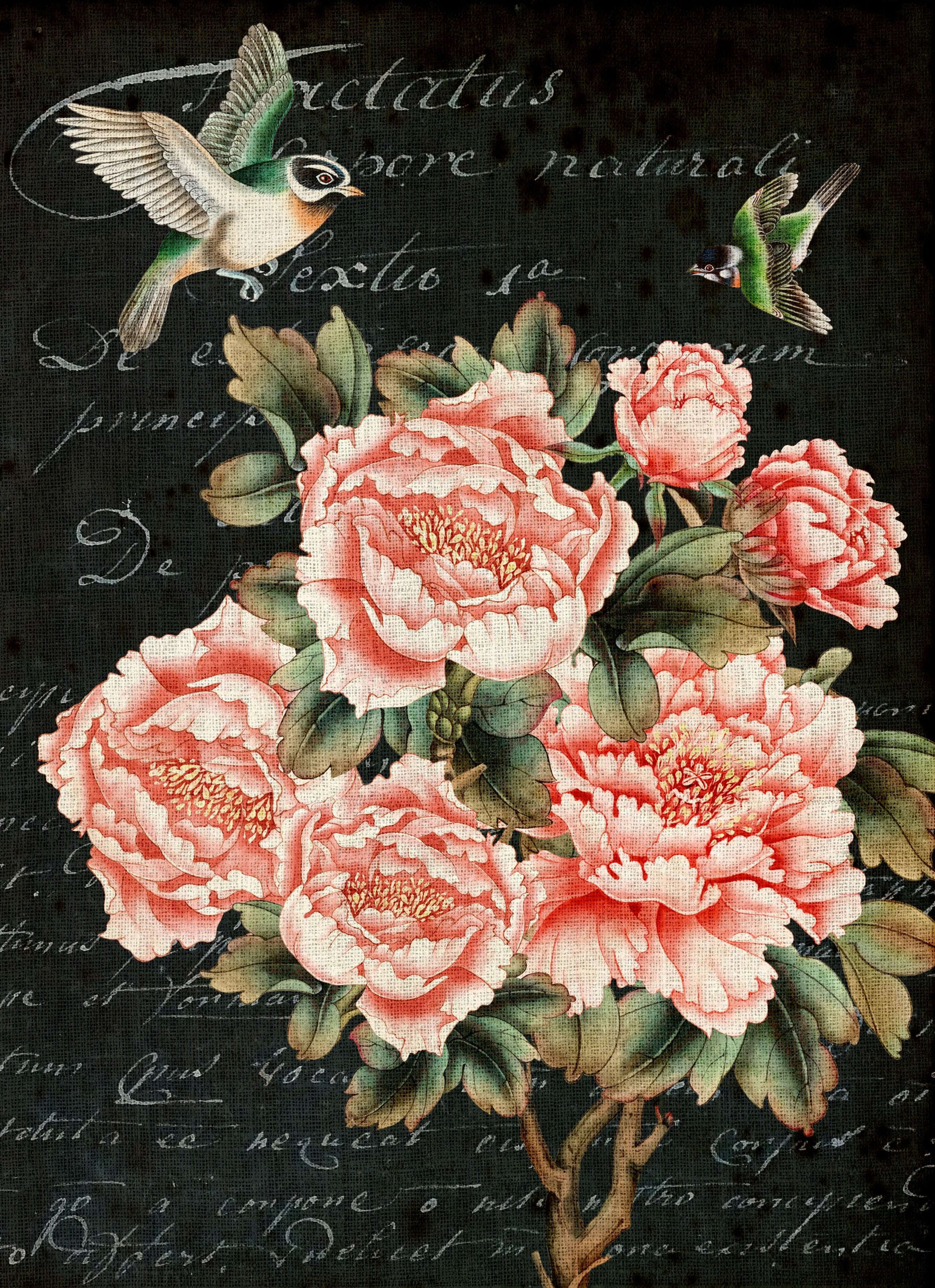 Posh Floral Decoupage Paper