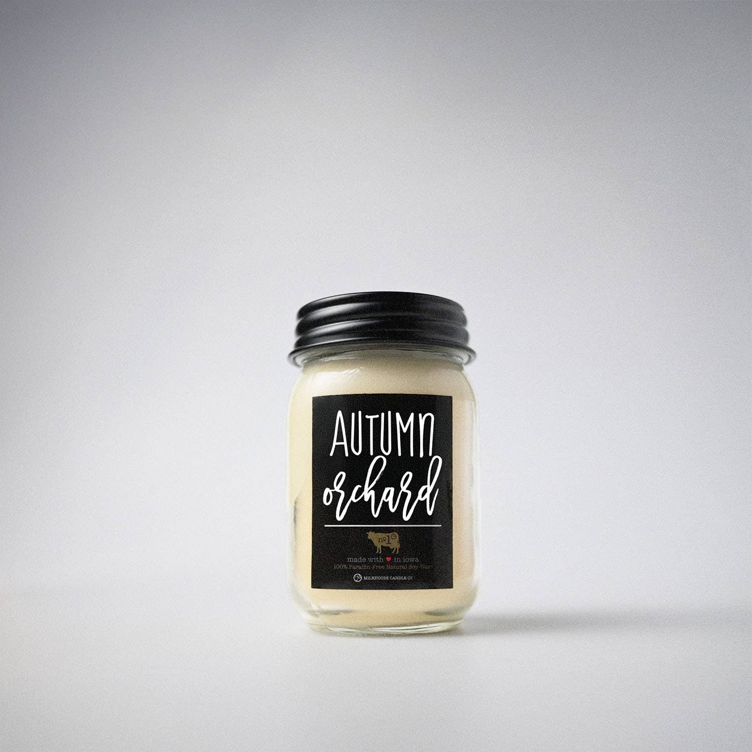 Autumn Orchard 13 oz. Mason Jar Candle