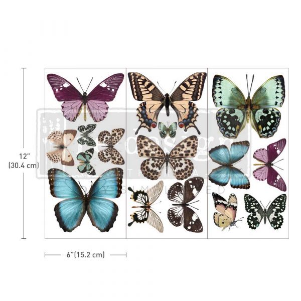 Butterfly Decor Transfer