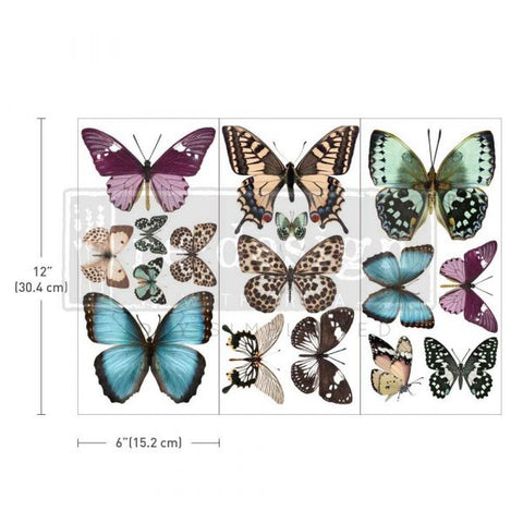 Butterfly Decor Transfer