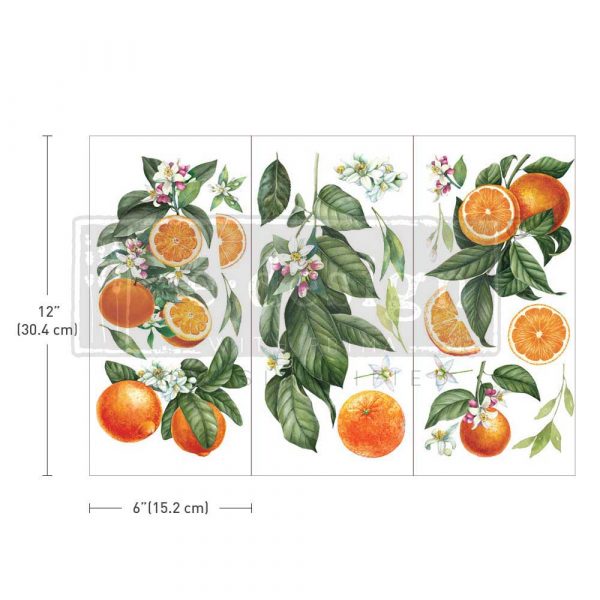 Citrus Slice Decor Transfers