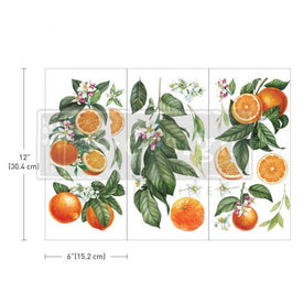 Citrus Slice Decor Transfers
