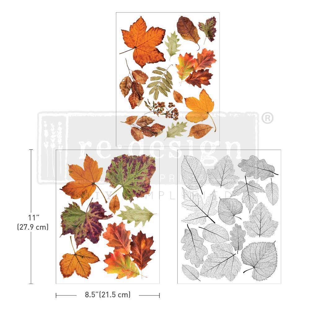 Crunchy Leaves Forever Middy Transfer