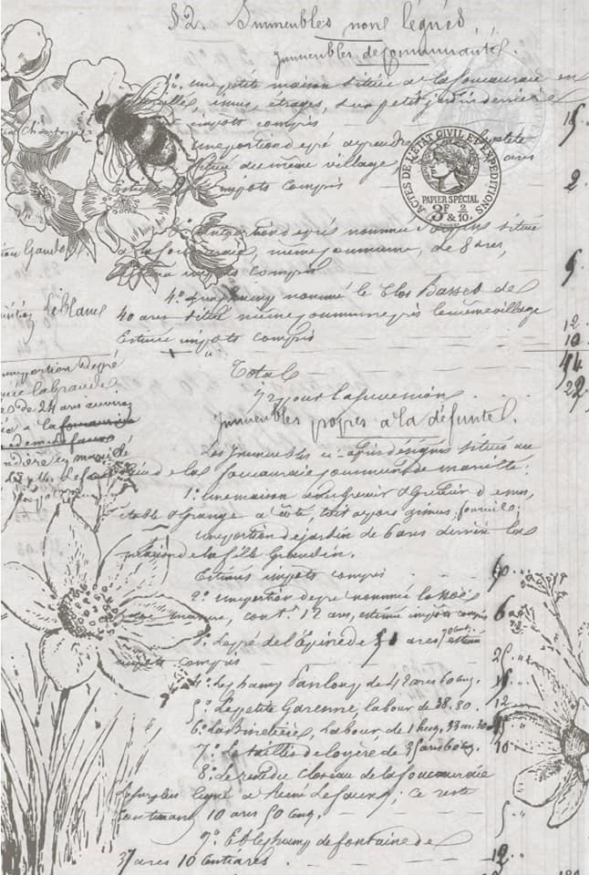 Natural History Decoupage Paper