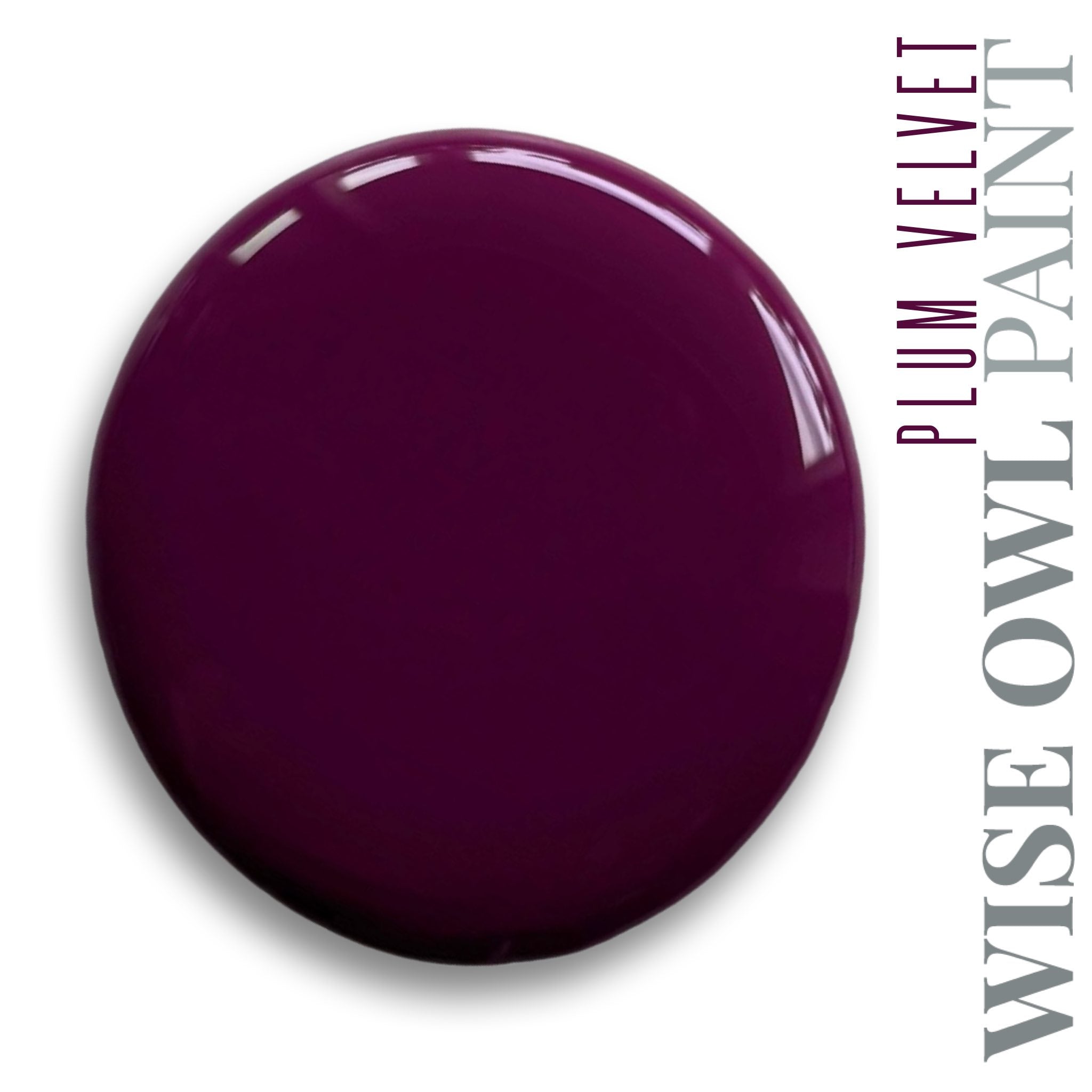 Plum Velvet Chalk Synthesis Paint