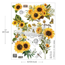 Rustic Amber Petals H20 Transfers