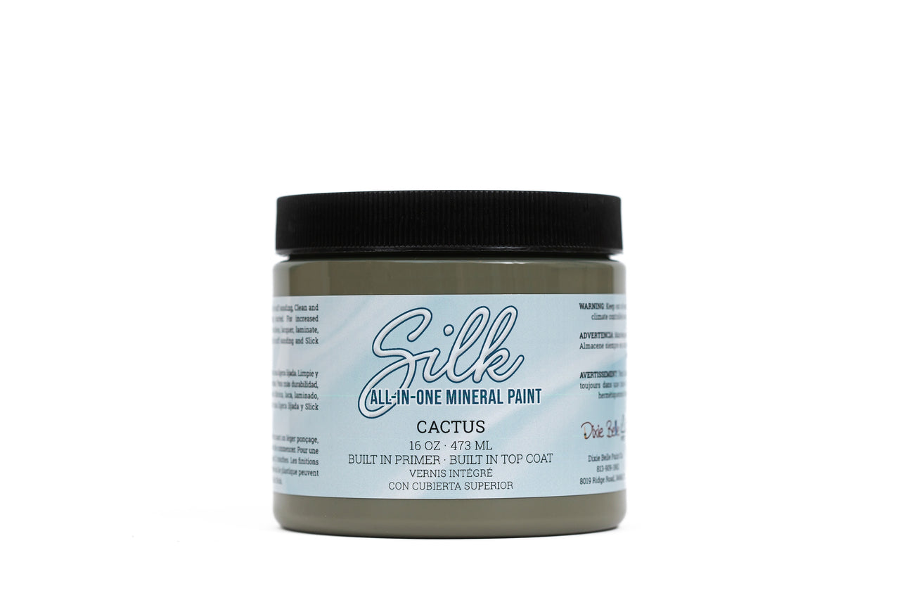 Cactus Silk All-in-One Mineral Paint