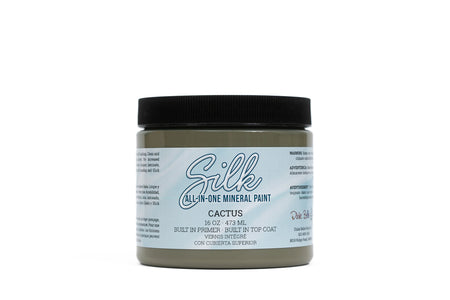 Cactus Silk All-in-One Mineral Paint
