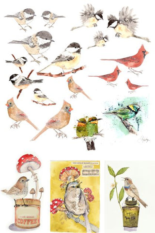 Catalog of Birds by Lexi Grenzer