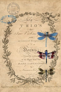 Dragonflies Decoupage Paper