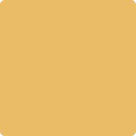 Goldenrod Chalk Synthesis Paint
