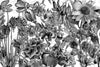 Black and White Floral - JRV Paper