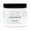 Salt Water Silk All-in-One Mineral Paint